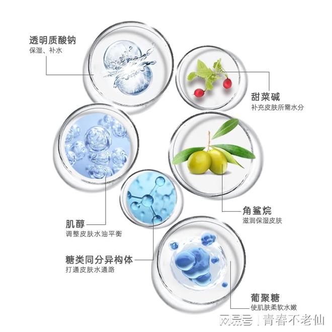 01梦缘——敏感肌与自然滋养的AG真人百家家乐APP爱心3(图2)